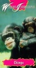 Chimps: So Like Us movie in Karen Goodman filmography.