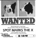 Spot Marks the X movie in Mark Rosman filmography.