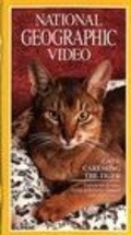 Cats: Caressing the Tiger movie in Joseph Campanella filmography.