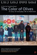 El color de los olivos movie in Carolina Rivas filmography.