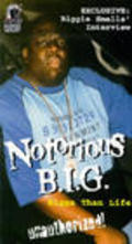 Notorious B.I.G.: Bigga Than Life movie in Dale Dreher filmography.