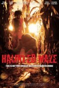 Haunted Maze is the best movie in David Mingrino filmography.