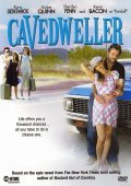 Cavedweller movie in Lisa Cholodenko filmography.