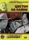 Tsvetok na kamne movie in Anatoli Slesarenko filmography.