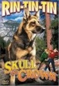 Skull and Crown is the best movie in Rin Tin Tin Jr. filmography.