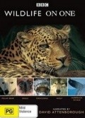 Wildlife on One movie in David Attenborough filmography.
