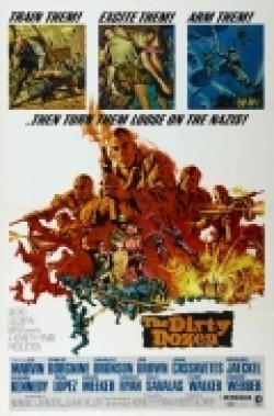 The Dirty Dozen movie in Robert Aldrich filmography.
