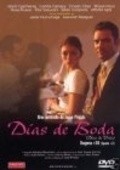 Dias de voda movie in Javier Gurruchaga filmography.