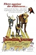 The Incredible Journey movie in Fletcher Markle filmography.
