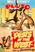 Pests of the West movie in Pinto Colvig filmography.