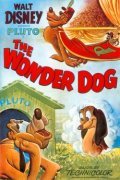 Wonder Dog movie in Charles A. Nichols filmography.