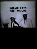 Shemp Eats the Moon is the best movie in Ellen Sandweiss filmography.