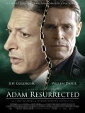 Adam Resurrected movie in Paul Schrader filmography.