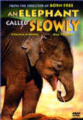 An Elephant Called Slowly movie in Virginia McKenna filmography.