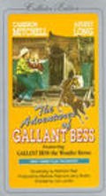 Adventures of Gallant Bess movie in Fuzzy Knight filmography.