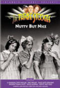 Nutty But Nice is the best movie in Kit Guard filmography.