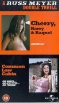 Common Law Cabin movie in Russ Meyer filmography.