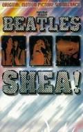 The Beatles at Shea Stadium is the best movie in \'Cousin Brucie\' Morrow filmography.