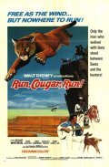 Run, Cougar, Run movie in Jerome Courtland filmography.